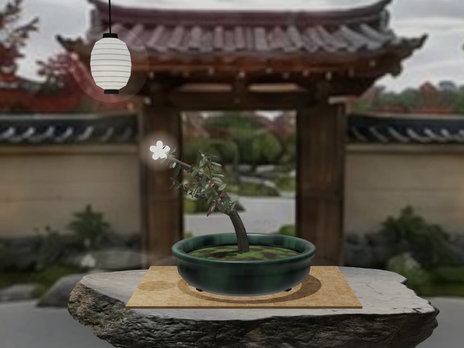 Zen Garden in play: a bonsai in a glazed pot on a stone in a Japanese garden, reaching into a paper lantern's light